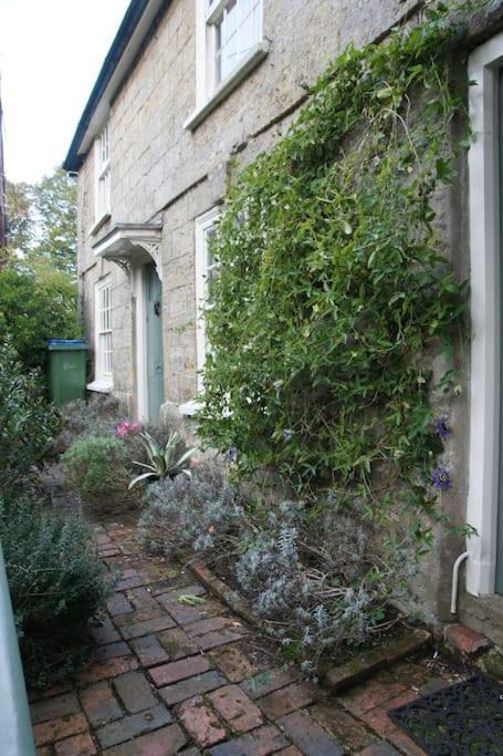 Ivy * Pulborough